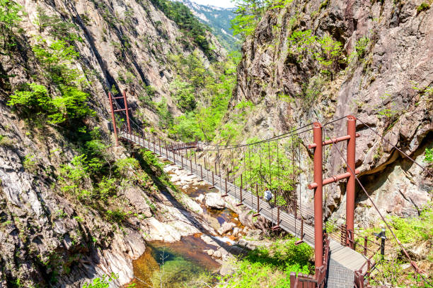 istock Woman on the bridge 686946622