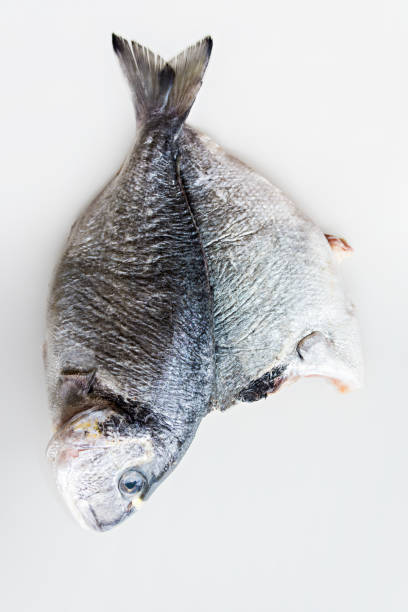 Golden bream cut in half ready to cook