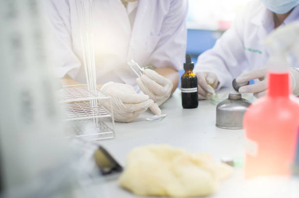 istock Student veterinary doing examination working with equipment at desk in laboratory, University nature science lab 686953348