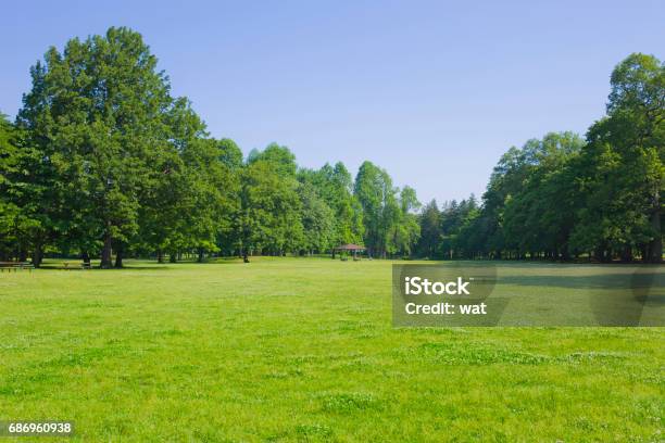 Park Stock Photo - Download Image Now - Back Lit, Beauty, Clear Sky