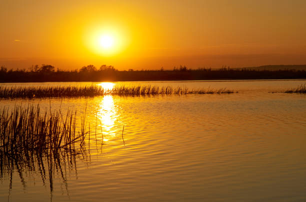 istock Sunset river. Silhouette trees on shore, sky and sun reflected in the water, back lighte 686967706