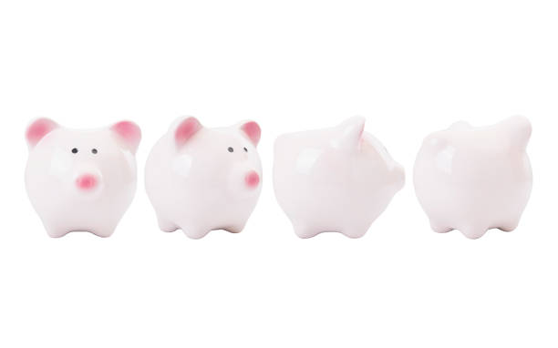 istock pink piggy bank isolated on white background. front, back, side view. 686968022