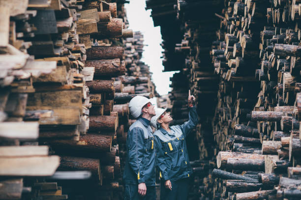 stockage de bois travailleur - forest industry photos et images de collection