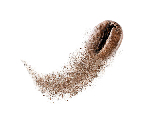 kaffeebohne fliegen explosion isoliert auf weißem hintergrund-objekt-design - bean macro brown roasted stock-fotos und bilder