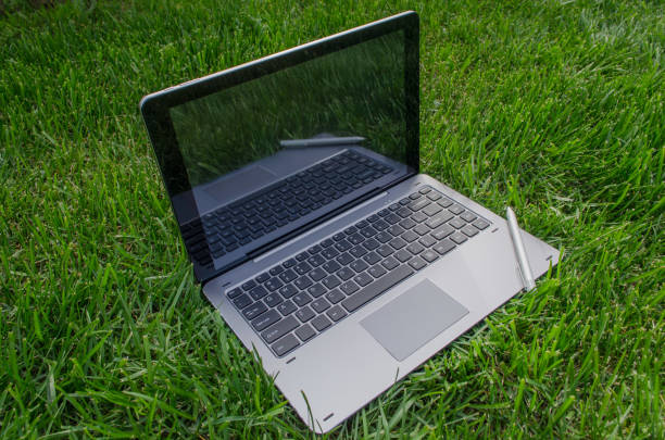 istock Laptop-transformer with a stylus on the grass 686982392