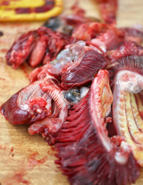 istock Bleeding fish waste on wooden cut board. 686983084