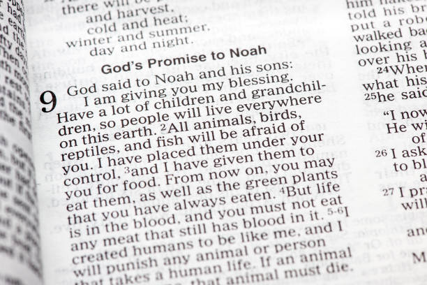 istock God's promise to Noah 686996152