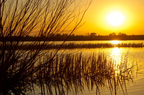 istock Sunset river. Silhouette trees on shore, sky and sun reflected in the water, back lighte 686996480