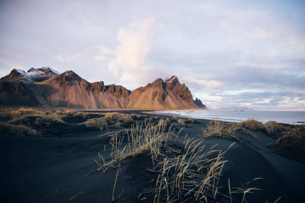 istock Beautiful sunset black sand beach in Iceland 687000008
