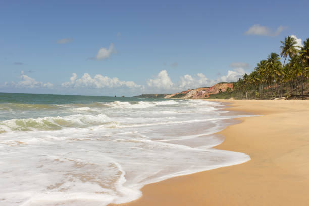 istock Coqueirinho beach, Conde (PB), Brazil 687013786