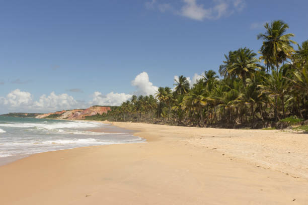 istock Coqueirinho beach, Conde (PB), Brazil 687014502