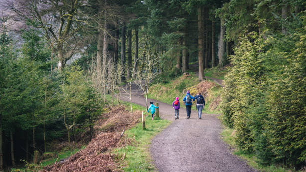 family hiking in lake district - wood dirt road footpath exercising imagens e fotografias de stock