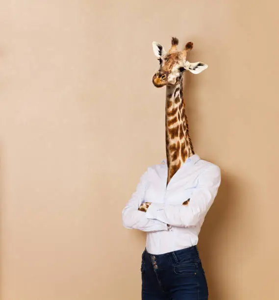 Photo of Giraffe headed woman dressed up in office style
