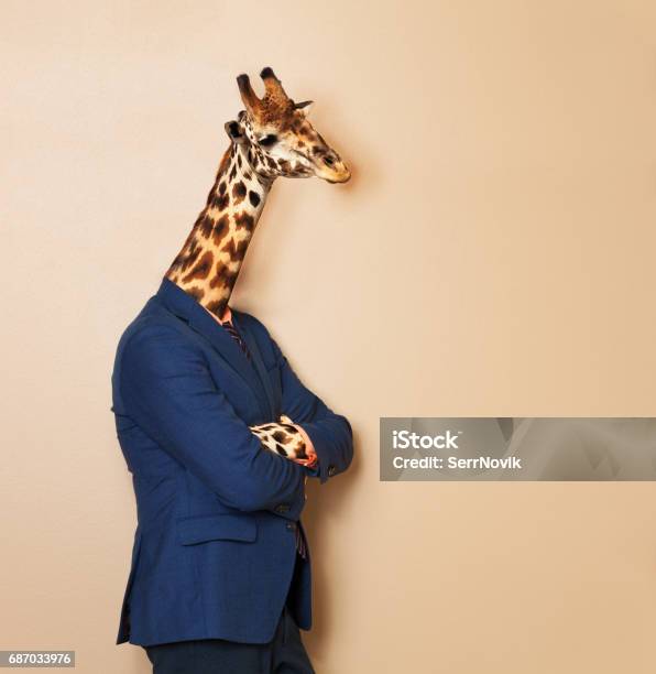 Giraffe Headed Businessman With His Arms Folded Stock Photo - Download Image Now - Animal, Formalwear, Suit