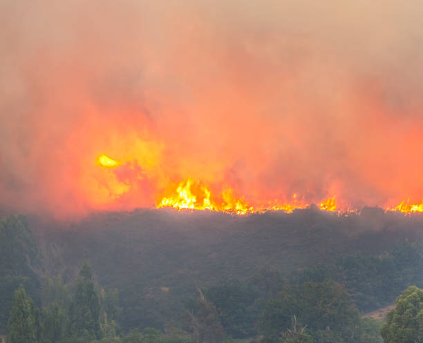 istock Wildfire burning uncontrollably with smoke and high flames down a mountain. 687046438