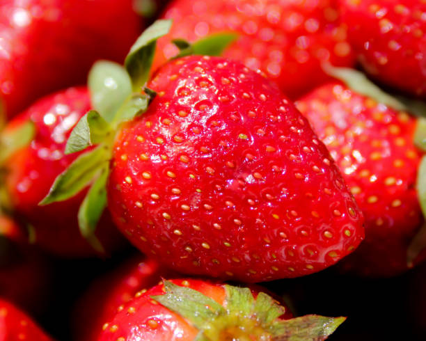 A group of wonderful strawberries - food concept stock photo