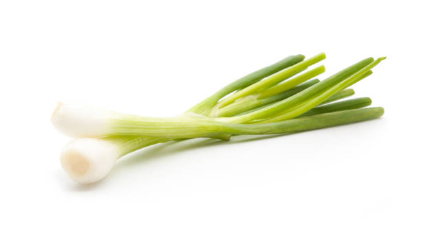 istock green onion isolated on the white background 687052826