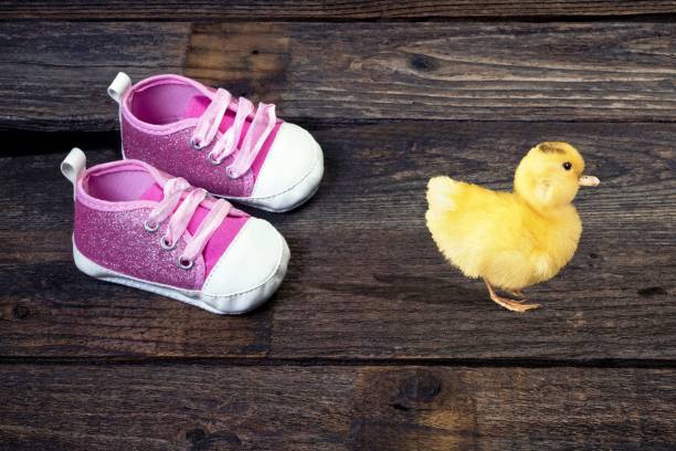 istock Baby Shoes and Ducky. 687053134