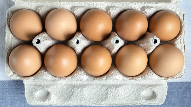 istock Packing eggs in a cardboard box top and close-up view 687053494