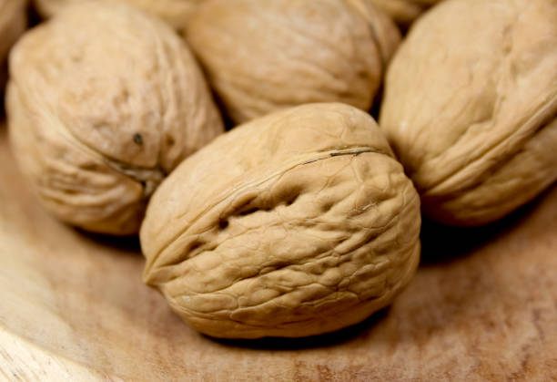 Group of walnuts stock photo