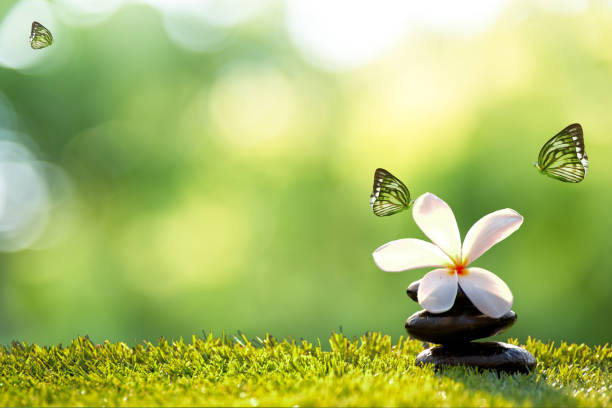 istock Spa massage with rock spa, Thailand, soft and select focus 687060296