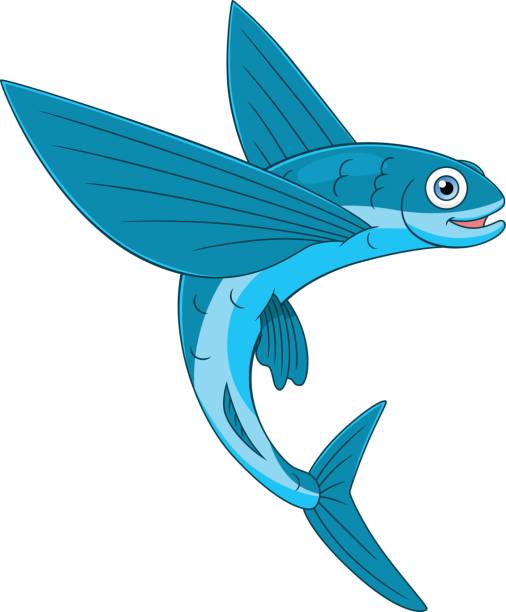 illustrazioni stock, clip art, cartoni animati e icone di tendenza di allegri pesci volanti - pesce volante immagine