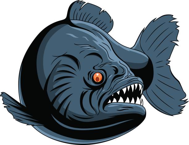 Mad Fish Vector Mad Fish