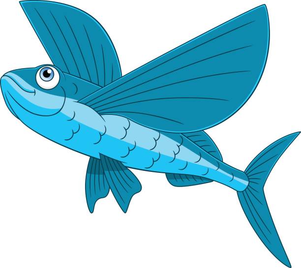 Happy Flying Fish Stock Illustration - Download Image Now - Flying Fish,  Animal, Animal Wildlife - iStock