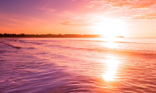 istock tropical beach in Sri Lanka 687078936