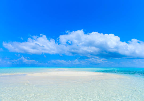 istock tropical beach in Maldives 687078970