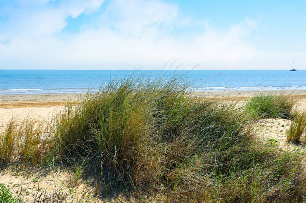 istock View of wild beach, sea and blue sky with clouds. 687082398