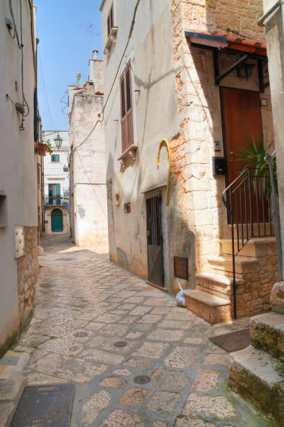 istock Alleyway. Conversano. Puglia. Italy. 687086022