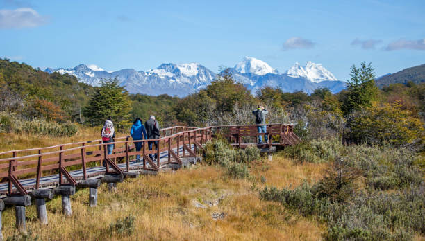 Argentina: Tierra del Fuego National Park Tourists walk along an elevated walkway through a nature preserve at Bahia Lapataia in the Tierra del Fuego National Park. tierra del fuego national territory stock pictures, royalty-free photos & images