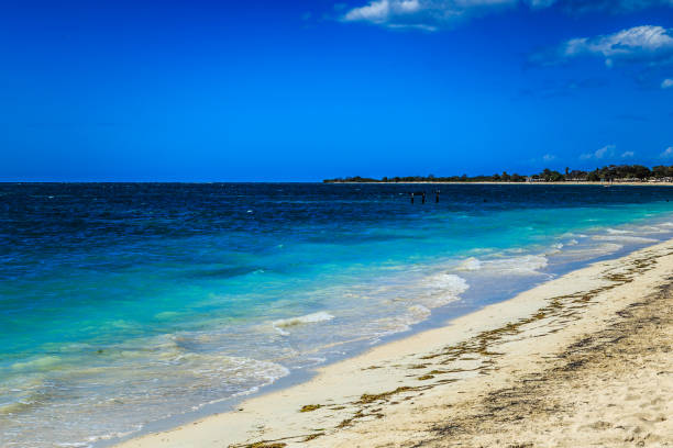 istock The Beach near Trinidad 687086322