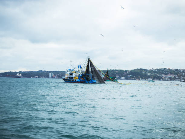 istock Industrial Fishing In Bosphorus 687096994