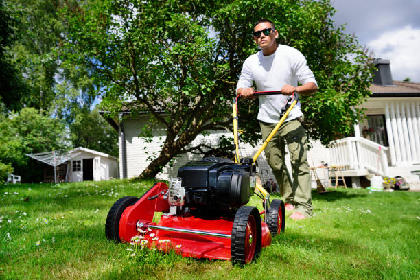 istock Mowing the lawn in nice green garden. 687099970