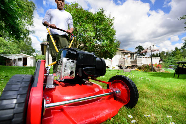 istock Mowing the lawn in nice green garden. 687100072