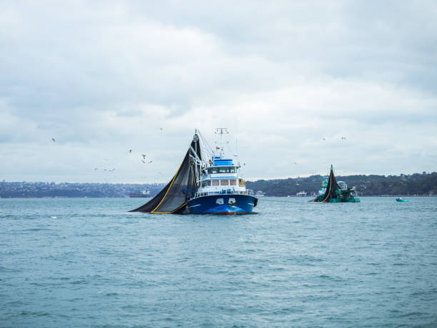 istock Industrial Fishing In Bosphorus 687100884