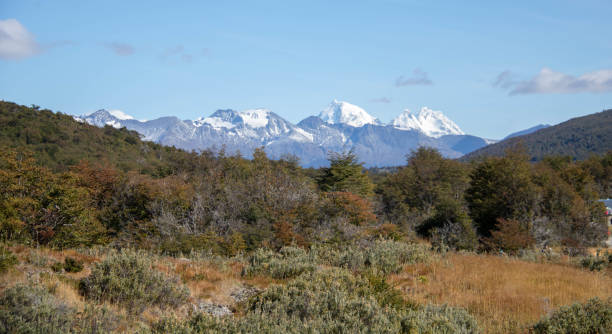 istock Argentina: Tierra del Fuego National Park 687101620