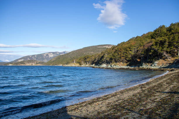 istock Argentina: Tierra del Fuego National Park 687105262