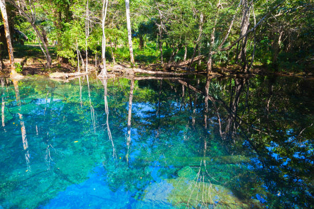 istock Still blue lake in Dominican Republic 687107148