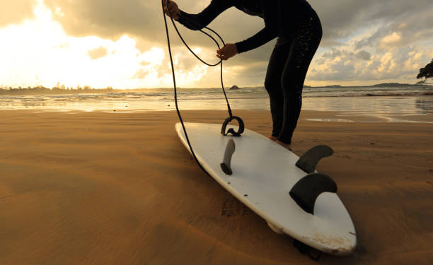 istock young woman surfer ready to surf on a beach at sunrise 687113440