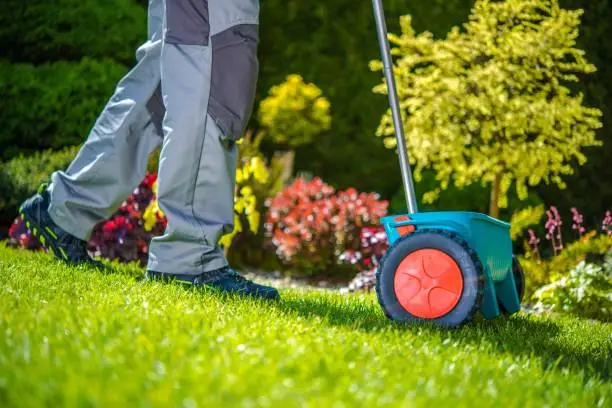 Grass Sowing in the Garden. Gardner with Small Sowing Dispenser.