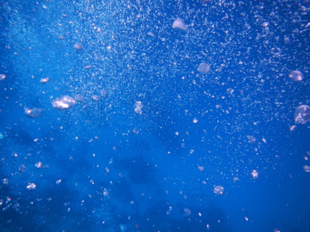 istock Bubbles from the Top, Indian Ocean, Africa 687116534