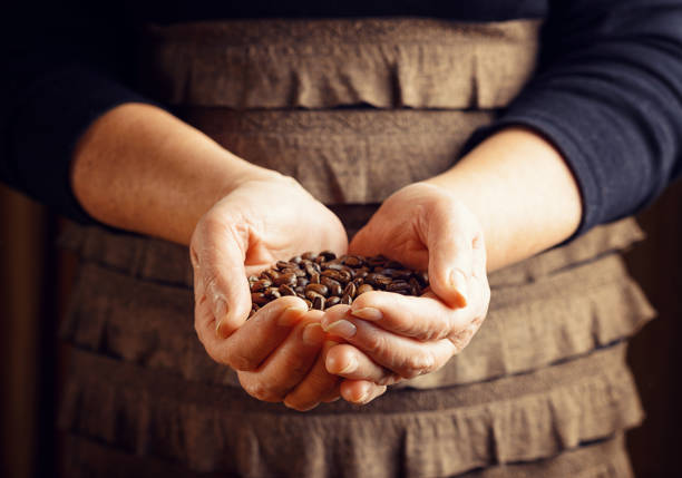 Senior woman holding coffee beans.