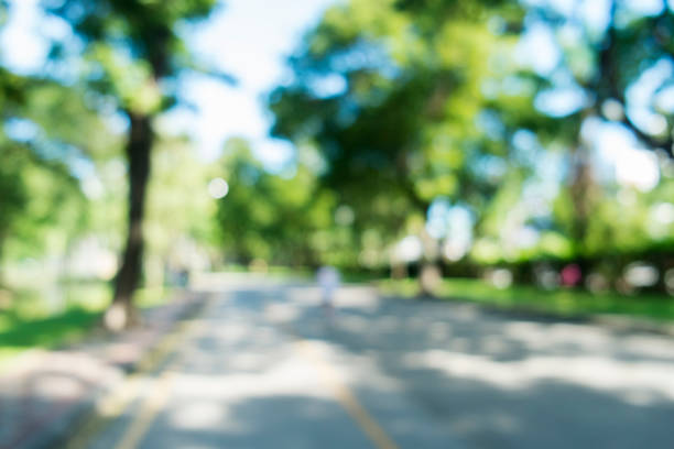 istock defocused bokeh background of garden trees in sunny day 687120904