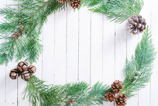 istock Pine and conifer cones and pine branch 687121110