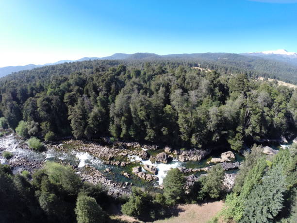 istock Aerial view of forest and rivers in Chile 687127344