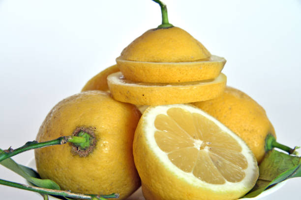 istock lemon. Still life. Photographic series 687135312