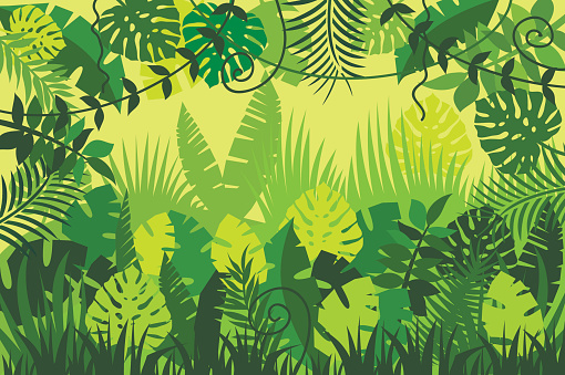 Bright Tropical Background Stock Illustration - Download Image Now -  Rainforest, Leaf, Cartoon - iStock